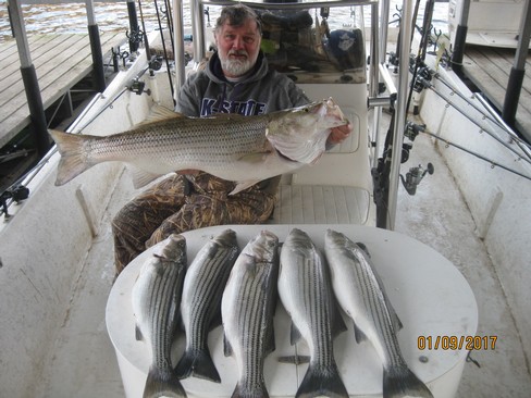 Nice Striped Bass